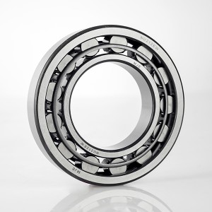 NU NJ NUP 300 series Cylindrical roller bearing